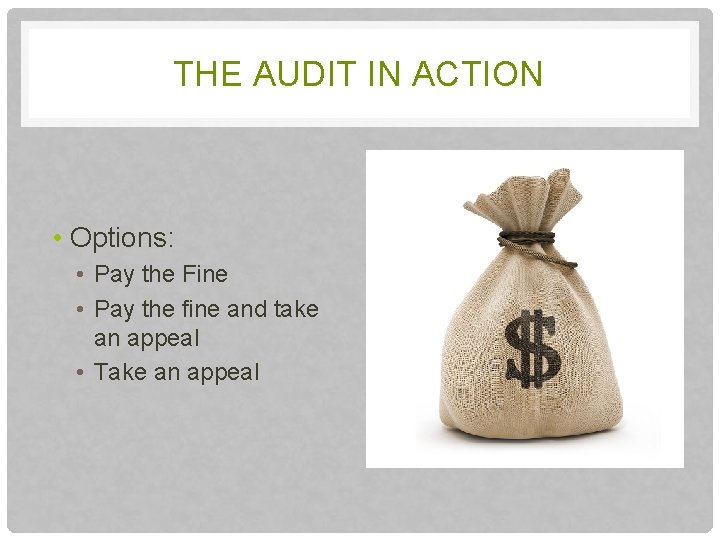 THE AUDIT IN ACTION • Options: • Pay the Fine • Pay the fine