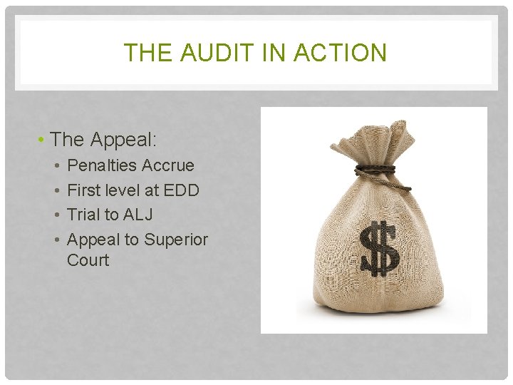 THE AUDIT IN ACTION • The Appeal: • • Penalties Accrue First level at