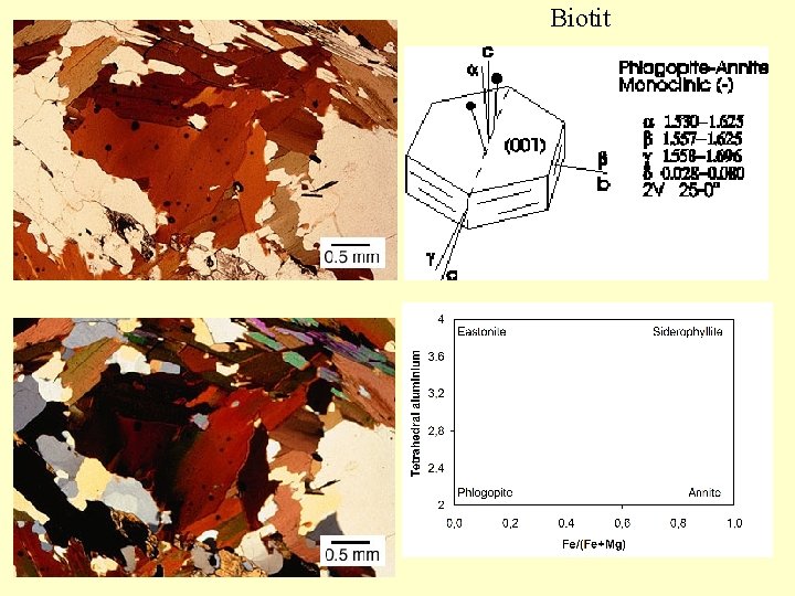 Biotit 
