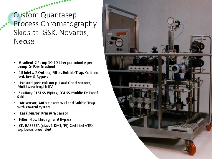 Custom Quantasep Process Chromatography Skids at GSK, Novartis, Neose • Gradient 2 Pump 10