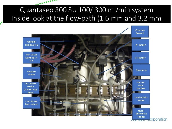 Quantasep 300 SU 100/ 300 ml/min system Inside look at the flow-path (1. 6