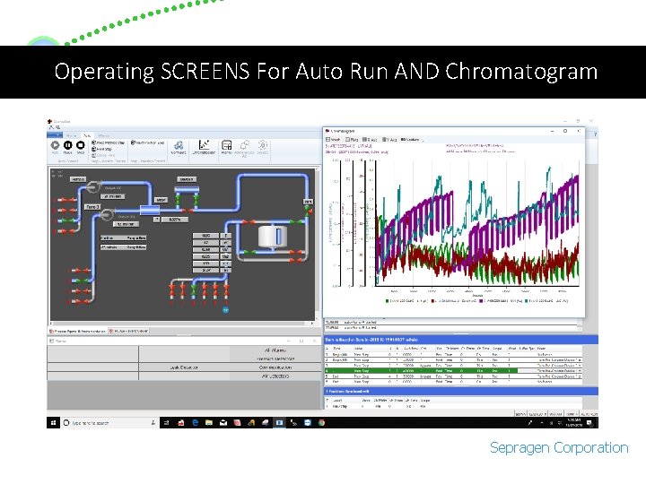 Operating SCREENS For Auto Run AND Chromatogram Sepragen Corporation 