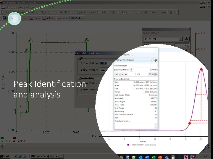 Peak Identification and analysis Sepragen Corporation 