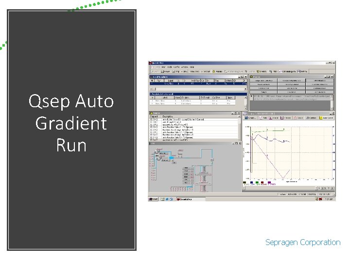 Qsep Auto Gradient Run Sepragen Corporation 