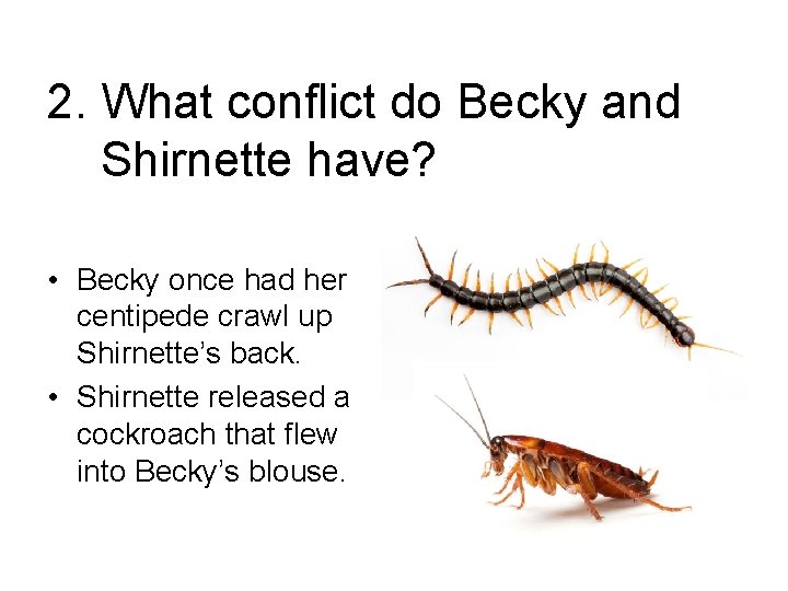 2. What conflict do Becky and Shirnette have? • Becky once had her centipede