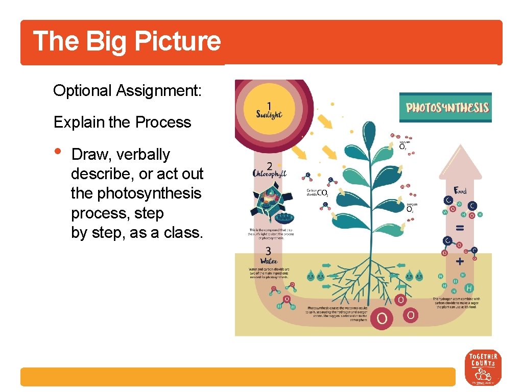 The Big Picture Optional Assignment: Explain the Process • Draw, verbally describe, or act