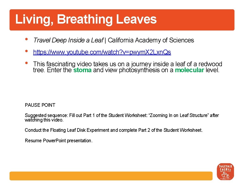 Living, Breathing Leaves • • • Travel Deep Inside a Leaf | California Academy