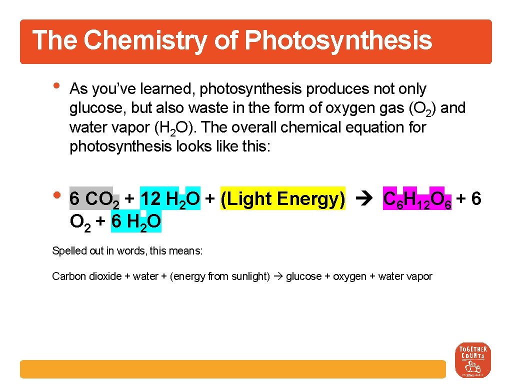 The Chemistry of Photosynthesis • As you’ve learned, photosynthesis produces not only glucose, but