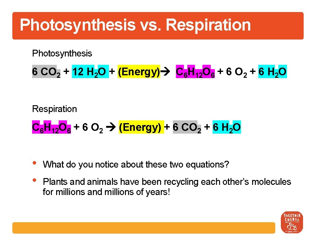 Photosynthesis vs. Respiration Photosynthesis 6 CO 2 + 12 H 2 O + (Energy)