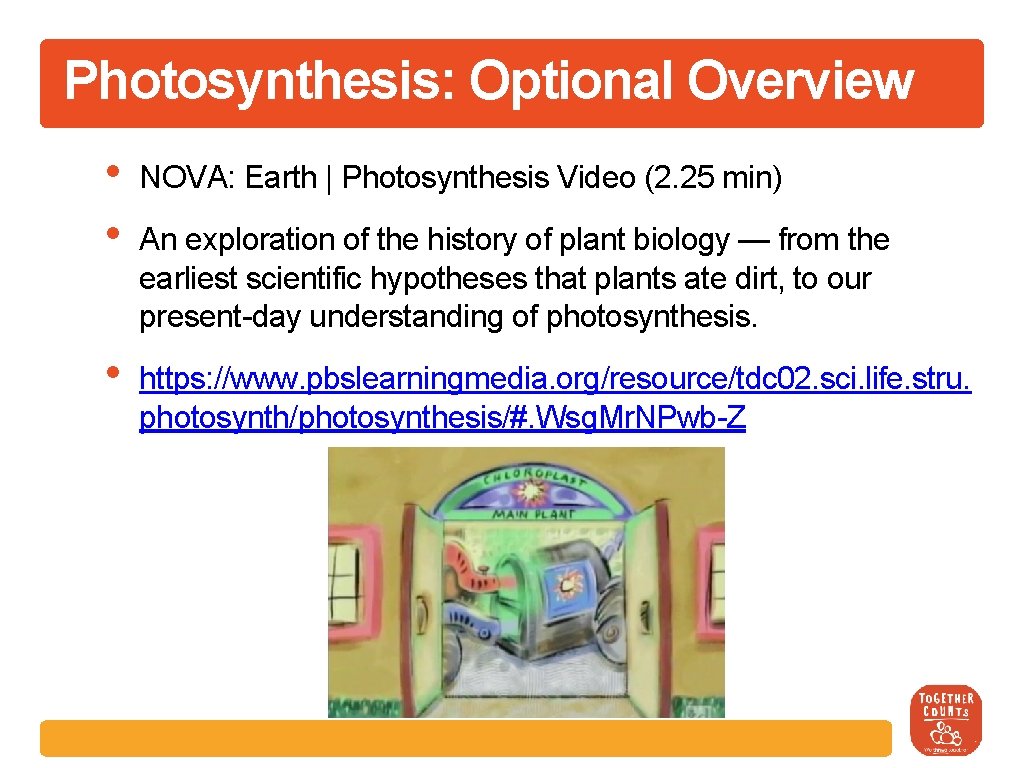 Photosynthesis: Optional Overview • • NOVA: Earth | Photosynthesis Video (2. 25 min) •