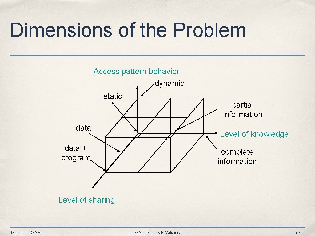 Dimensions of the Problem Access pattern behavior dynamic static partial information data Level of Dimensions of the Problem Access pattern behavior dynamic static partial information data Level of