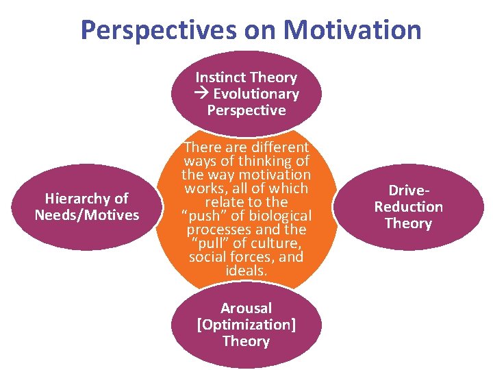 Perspectives on Motivation Instinct Theory Evolutionary Perspective Hierarchy of Needs/Motives There are different ways