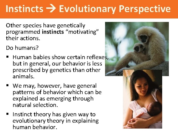 Instincts Evolutionary Perspective Other species have genetically programmed instincts “motivating” their actions. Do humans?