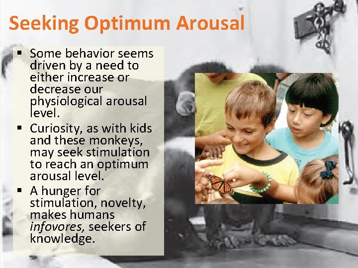 Seeking Optimum Arousal § Some behavior seems driven by a need to either increase