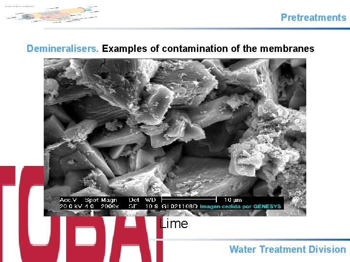 Pretreatments Demineralisers. Examples of contamination of the membranes Lime Water Treatment Division 