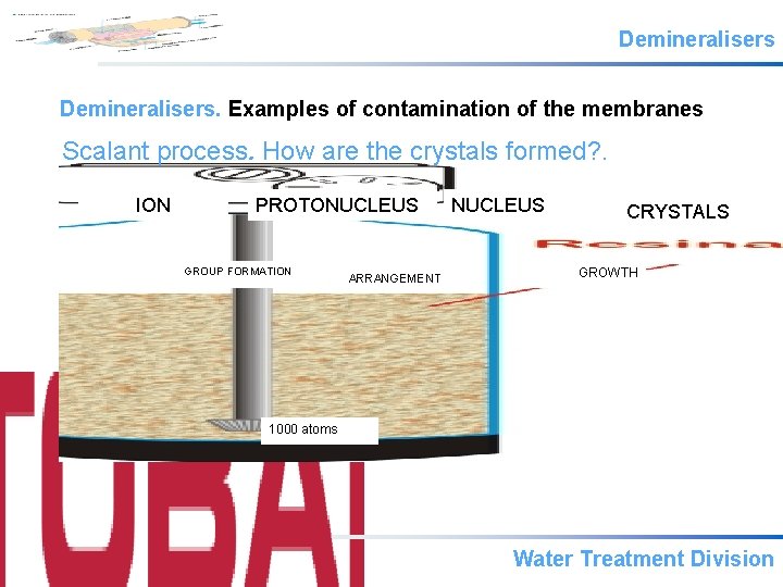 Demineralisers. Examples of contamination of the membranes Scalant process. How are the crystals formed?