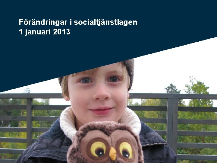 Förändringar i socialtjänstlagen 1 januari 2013 