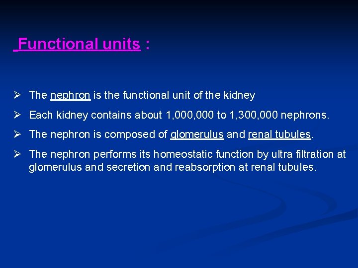 Functional units : Ø The nephron is the functional unit of the kidney Ø