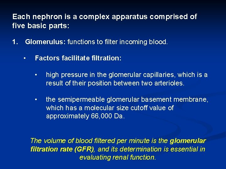 Each nephron is a complex apparatus comprised of five basic parts: 1. Glomerulus: functions