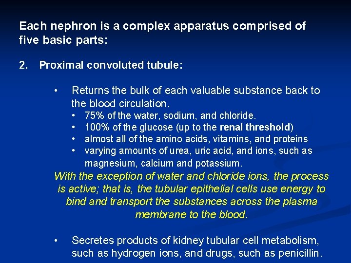 Each nephron is a complex apparatus comprised of five basic parts: 2. Proximal convoluted