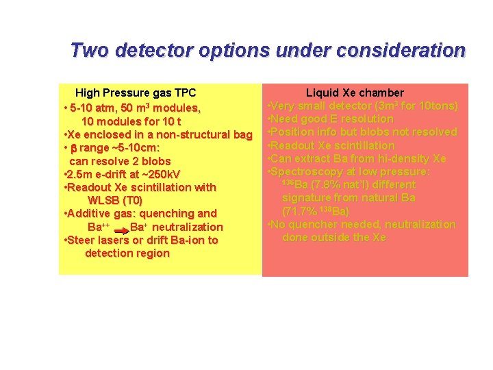 Two detector options under consideration High Pressure gas TPC • 5 -10 atm, 50
