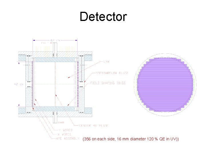 Detector (356 on each side, 16 mm diameter 120 % QE in UV)) 