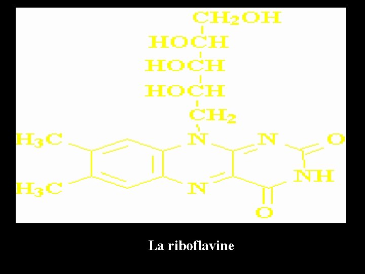 La riboflavine 