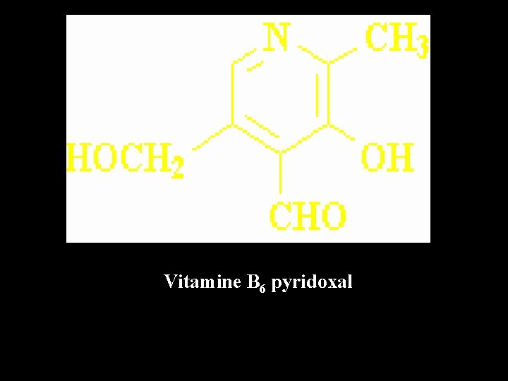 Vitamine B 6 pyridoxal 