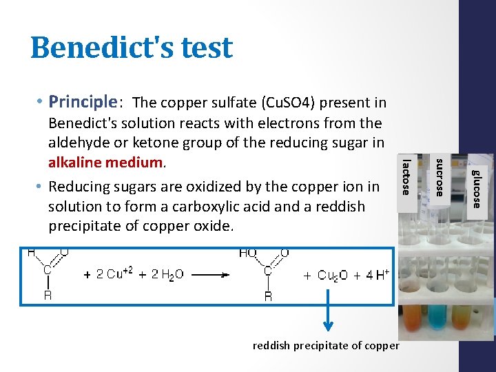 Benedict's test • Principle: The copper sulfate (Cu. SO 4) present in glucose sucrose