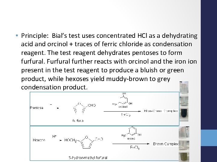  • Principle: Bial’s test uses concentrated HCl as a dehydrating acid and orcinol