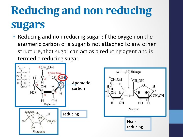 Reducing and non reducing sugars • Reducing and non reducing sugar : If the