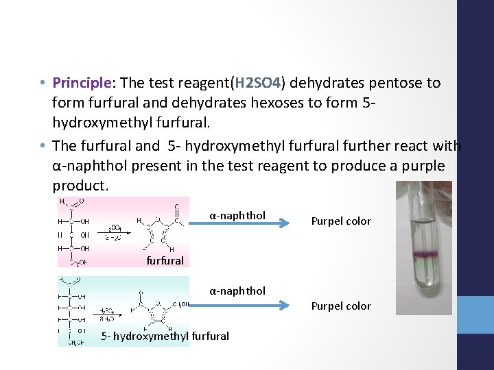  • Principle: The test reagent(H 2 SO 4) dehydrates pentose to form furfural