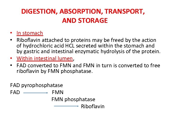 DIGESTION, ABSORPTION, TRANSPORT, AND STORAGE • In stomach • Riboflavin attached to proteins may