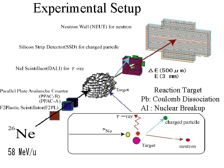 Experimental Setup Reaction Target Pb: Coulomb Dissociation Al : Nuclear Breakup 