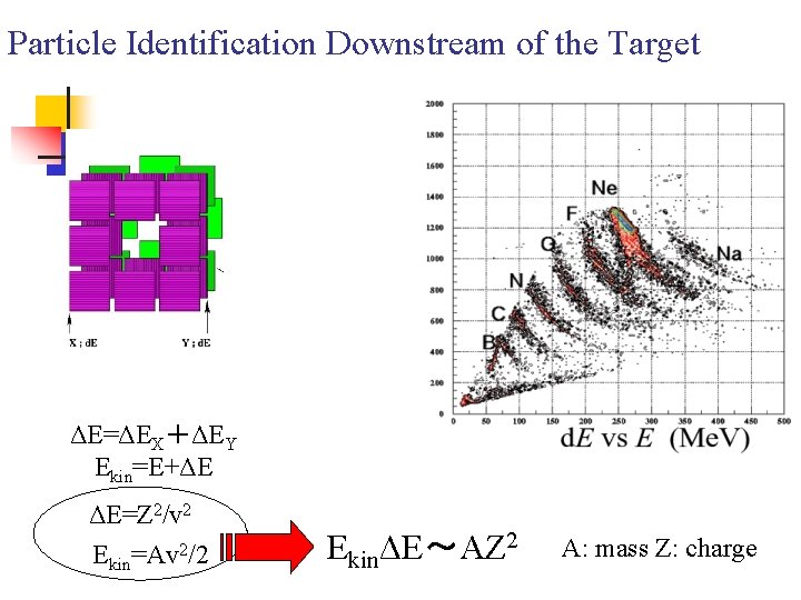 Particle Identification Downstream of the Target ΔE=ΔEX＋ΔEY Ekin=E+ΔE ΔE=Z 2/v 2 Ekin=Av 2/2 EkinΔE～AZ