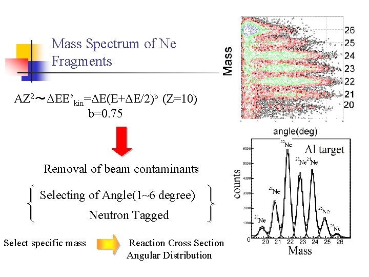 Mass Spectrum of Ne Fragments AZ 2～ΔEE’kin=ΔE(E+ΔE/2)b (Z=10) b=0. 75 Removal of beam contaminants