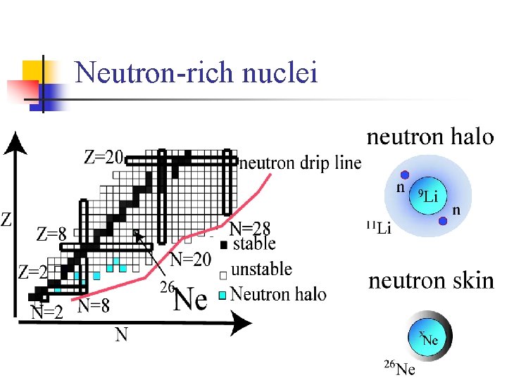 Neutron-rich nuclei 