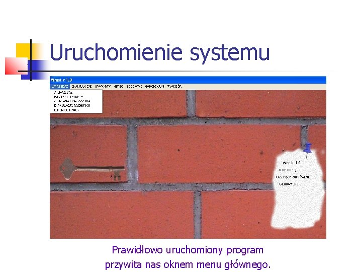 Uruchomienie systemu Prawidłowo uruchomiony program przywita nas oknem menu głównego. 