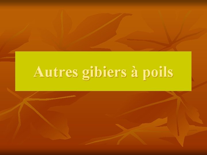 Autres gibiers à poils 