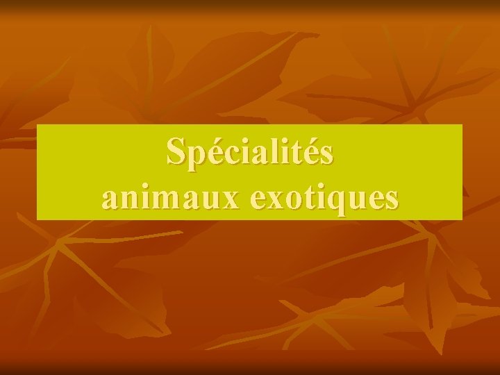 Spécialités animaux exotiques 