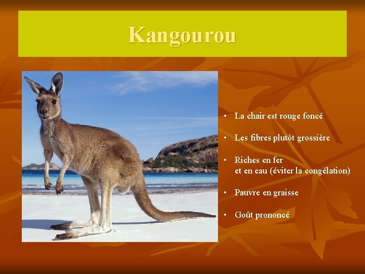 Kangourou • La chair est rouge foncé • Les fibres plutôt grossière • Riches