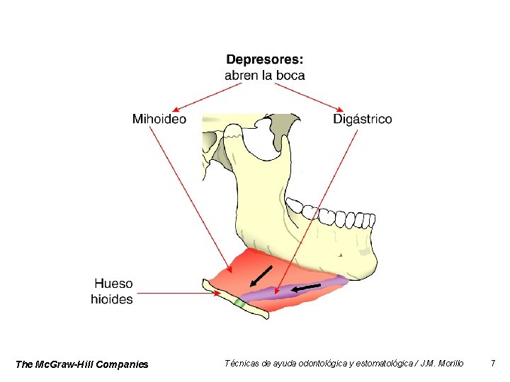 The Mc. Graw-Hill Companies Técnicas de ayuda odontológica y estomatológica / J. M. Morillo