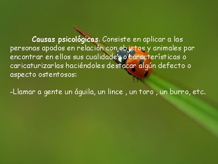 Causas psicológicas. Consiste en aplicar a las personas apodos en relación con objetos y