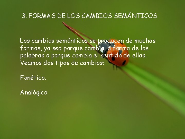 3. FORMAS DE LOS CAMBIOS SEMÁNTICOS Los cambios semánticos se producen de muchas formas,