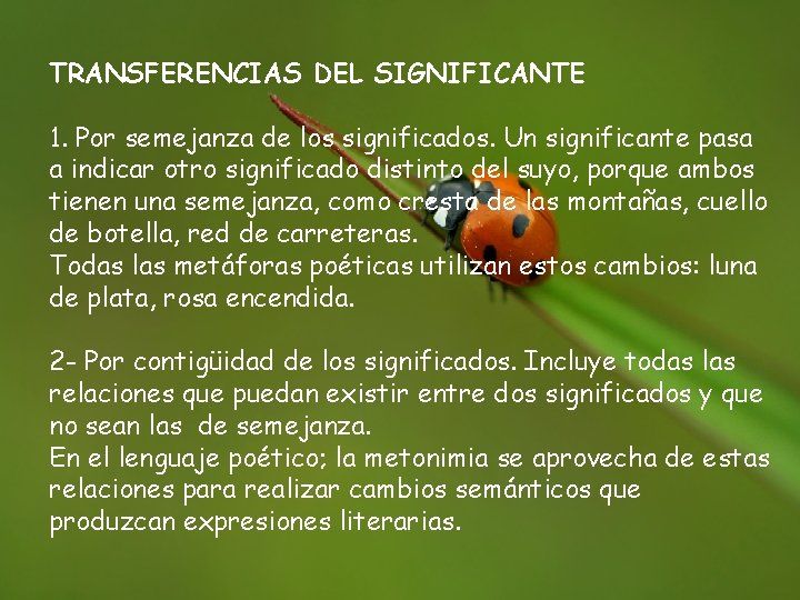 TRANSFERENCIAS DEL SIGNIFICANTE 1. Por semejanza de los significados. Un significante pasa a indicar