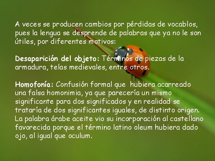 A veces se producen cambios por pérdidas de vocablos, pues la lengua se desprende
