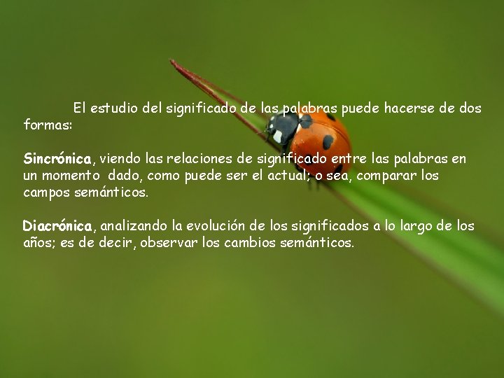 1. PROCESO DE LOS CAMBIOS SEMÁNTICOS formas: El estudio del significado de las palabras