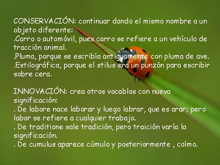 CONSERVACIÓN: continuar dando el mismo nombre a un objeto diferente: . Carro o automóvil,