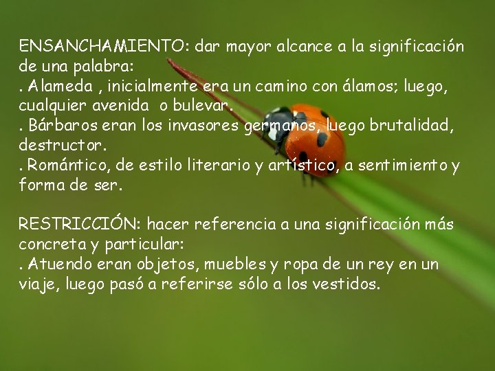 ENSANCHAMIENTO: dar mayor alcance a la significación de una palabra: . Alameda , inicialmente