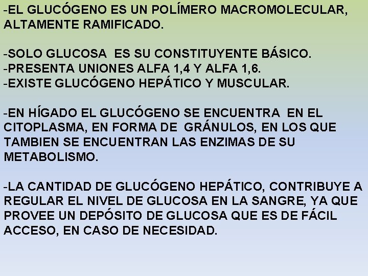 -EL GLUCÓGENO ES UN POLÍMERO MACROMOLECULAR, ALTAMENTE RAMIFICADO. -SOLO GLUCOSA ES SU CONSTITUYENTE BÁSICO.
